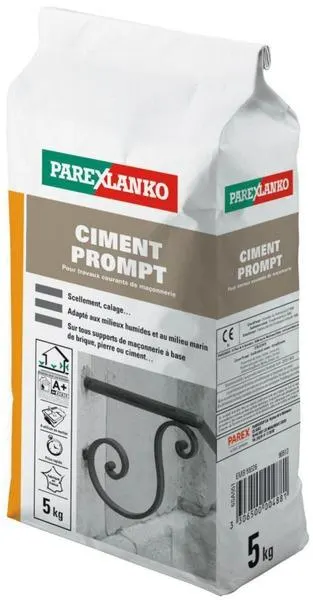 CIMENT PROMPT WC070123 5KG PAREX. 02875