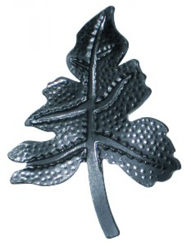 Rosaces - feuilles - grappes de raisin