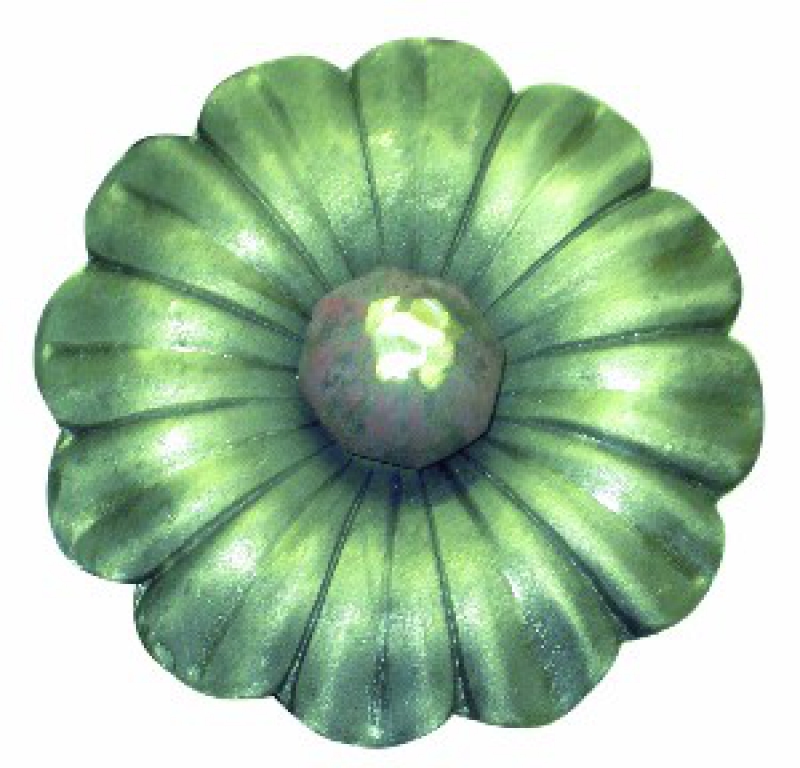 Rosaces - feuilles - grappes de raisin