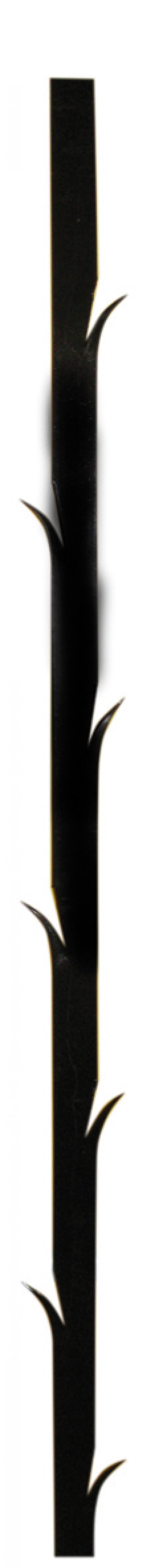 Barreaux épines