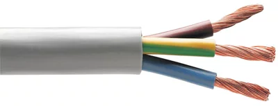 Câble électrique H05VVF 3G1,5mm² blanc - 10 m