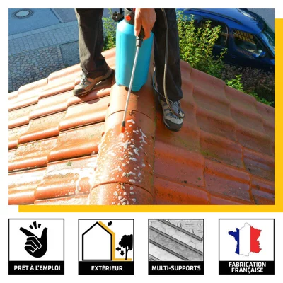 Traitement  algicide- fongicide anti-dépôts verts ProSelect - pulvérisateur 5 L