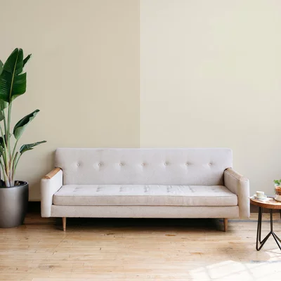 Colorant mur extérieur/intérieur 1 L ivoire clair