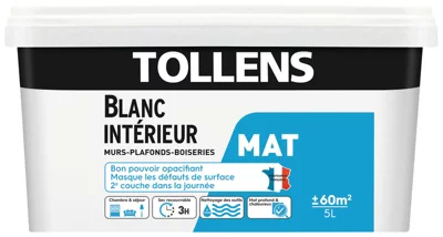Peinture bicouche murs, plafonds et boiseries intérieure acrylique mat blanc 5 L