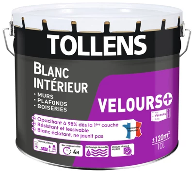 Peinture monocouche murs, plafonds et boiseries intérieure acrylique velours blanc 10 L