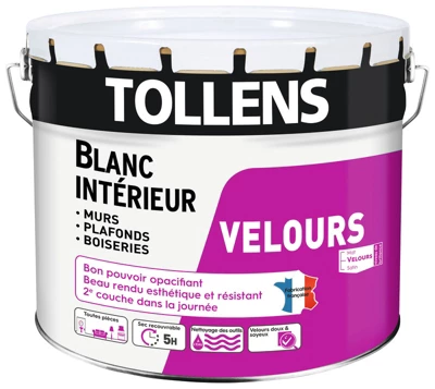 Peinture bicouche murs, plafonds et boiseries intérieure acrylique velours blanc 10 L