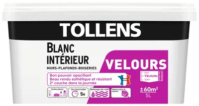 Peinture bicouche murs, plafonds et boiseries intérieure acrylique velours blanc 5 L