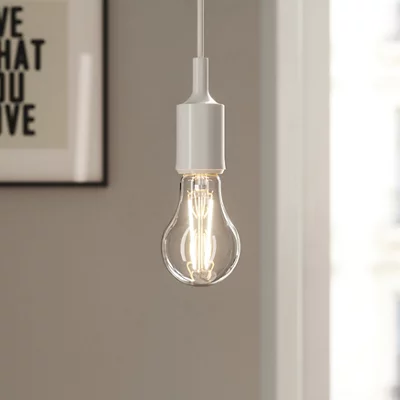 1 ampoule LED à filament E27 -  1055 Lm et 4000K