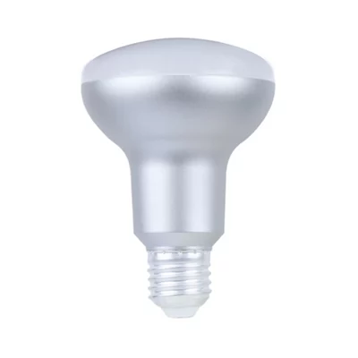 Lot de 2 ampoules LED E27 - 806 Lm et 2700K