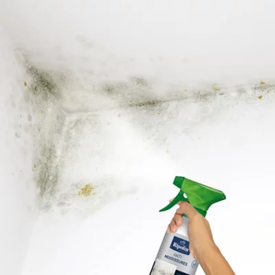 Traitement anti-moisissures intérieur extérieur 0,5 L
