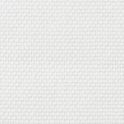 Fibre de verre 100g - 25 m