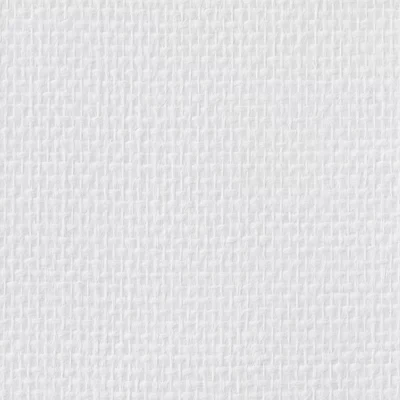 Fibre de verre prepeinte 120g - 25 m