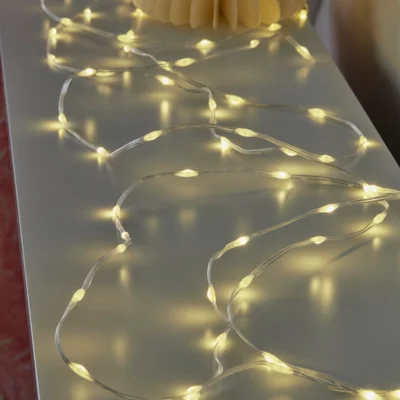 Guirlande lumineuse 100 micro LED blanc chaud 495 cm 2700K