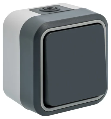 Interrupteur, poussoir étanche gris mat IP55