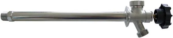 ROBINET MURAL ANTIGEL 25CL WATTS 136798