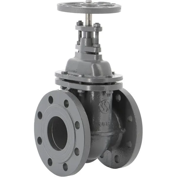 VANNE OPERCULE FONTE 2PCS GN10/16 50 150050