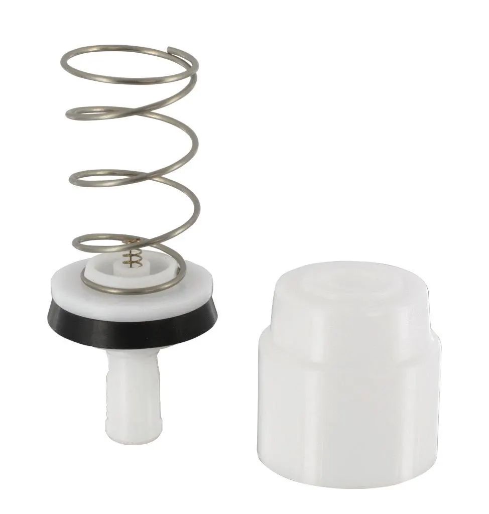 PISTON P.PRESTO DL30/40 -SACHET- PRESTO 90101