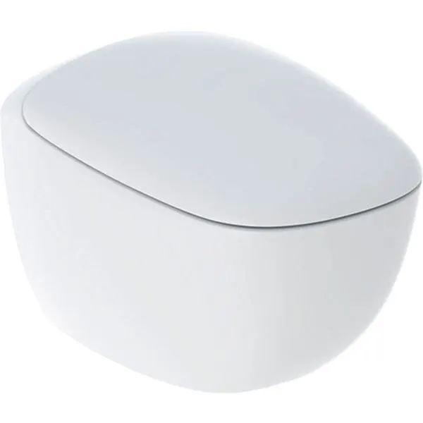 PACK WC SUSP CITTERIO RIMFREE 500.805.00.1