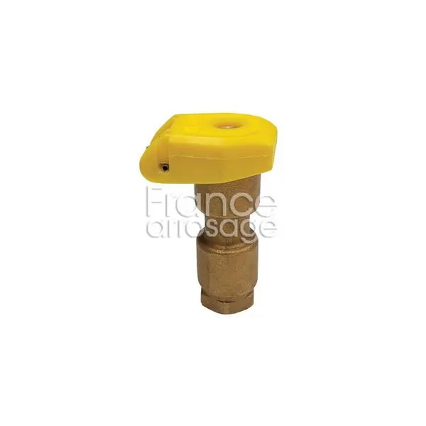 CLAPET VANNE 3/4F BRONZE CPRB 81CVV27000C