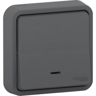 Interrupteur poussoir lumineux étanche complet encastré Schneider Electric Mureva Styl anthracite