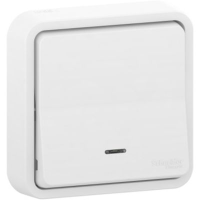 Interrupteur poussoir lumineux étanche complet encastré Schneider Electric Mureva Styl blanc