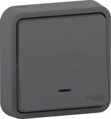 Image principale de Interrupteur va-et-vient étanche complet encastré Schneider Electric Mureva Styl anthracite