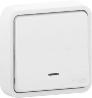 Interrupteur va-et-vient étanche complet encastré Schneider Electric Mureva Styl blanc