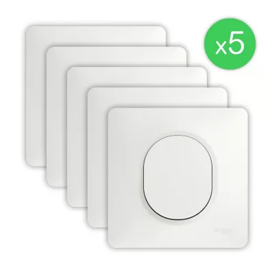 Interrupteur va-et-vient complet Schneider Electric Ovalis blanc, lot de 5
