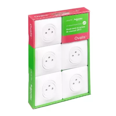 5 prises affleurantes Ovalis B 2 ports avec terre Schneider Electric