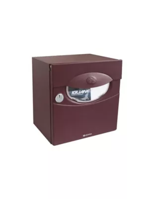 Boîte aux lettres demi profondeur Decayeux Iguane Aubergine Ral 3007