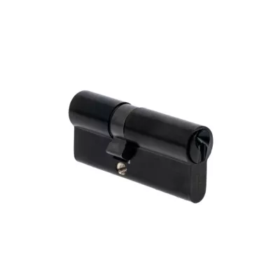 Cylindre de Serrure 30X40 mm finition PVD noir Vachette V5 3 clés