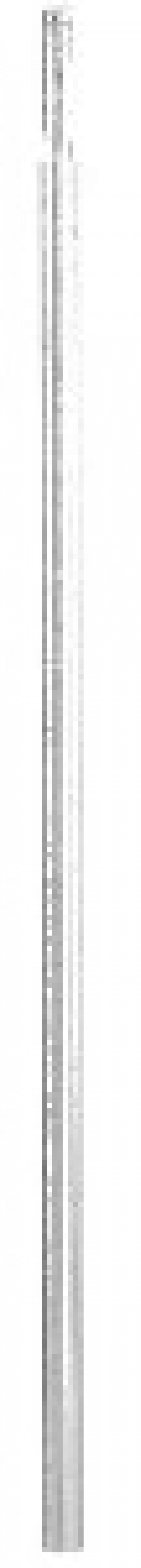 ECHAFAUDAGES