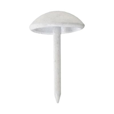80 clous tapissier blanc11