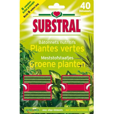 Bâtonnets nutritifs plantes vertes x 40 bâtonnets