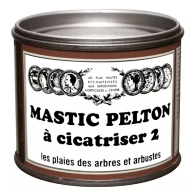 Traitement mastic à cicatriser 410 grammes