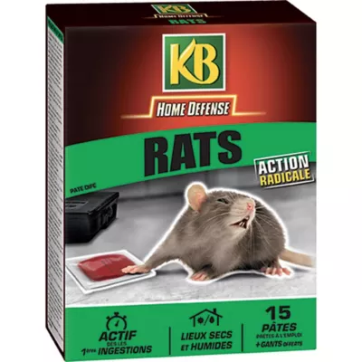 Rat KB pâte 15 x 10g