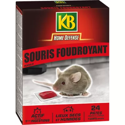 Souris foudroyant KB pâte 24 x 10g