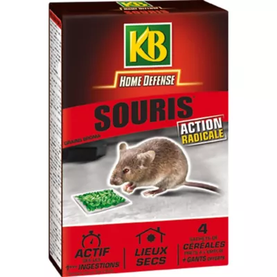 Souris KB céréales 4 x 25g