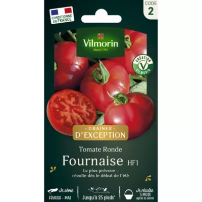 Tomate ronde Fournaise HF1 en graines Vilmorin