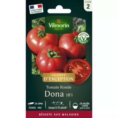 Graines tomate ronde variété Dona HF1 Vilmorin