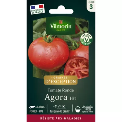 Tomate ronde Agora HF1 en graines Vilmorin