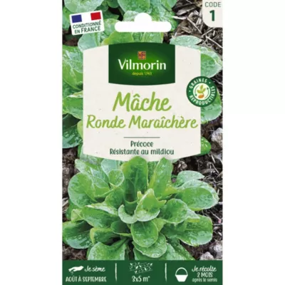 Mâche ronde maraîchère Vilmorin Jardin