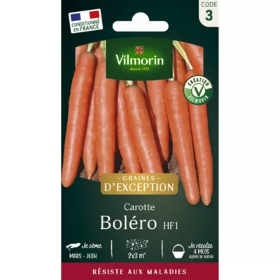 Carotte Bolero HF1 en graines Vilmorin