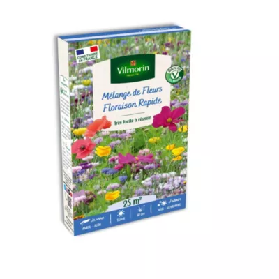 Graines mélange de fleurs floraison rapide Vilmorin 25m²
