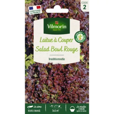 Graines laitue à couper variété salad bowl rouge Vilmorin