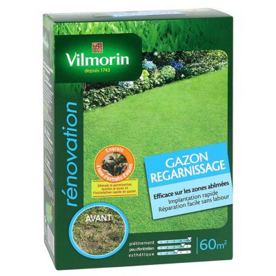 Gazon regarnissage 1 kg