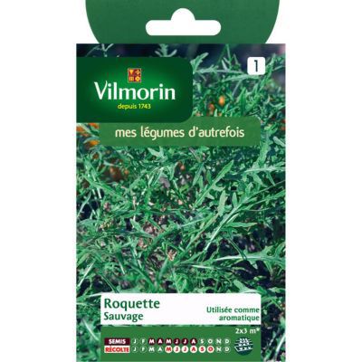 Graines de roquette variété "Sauvage" Vilmorin semis de mars à août