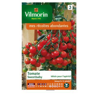 Graines de tomate variété "Sweetbaby" Vilmorin semis de février à mai