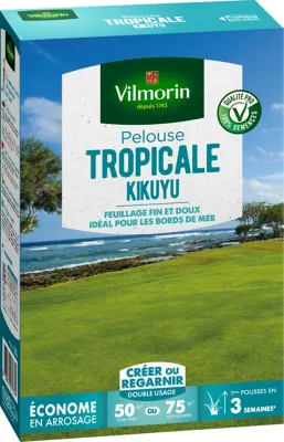 Gazon pelouse tropicale kikuyu Vilmorin 500g