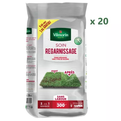BOX GAZON REGARNISSAGE 5DT1GT